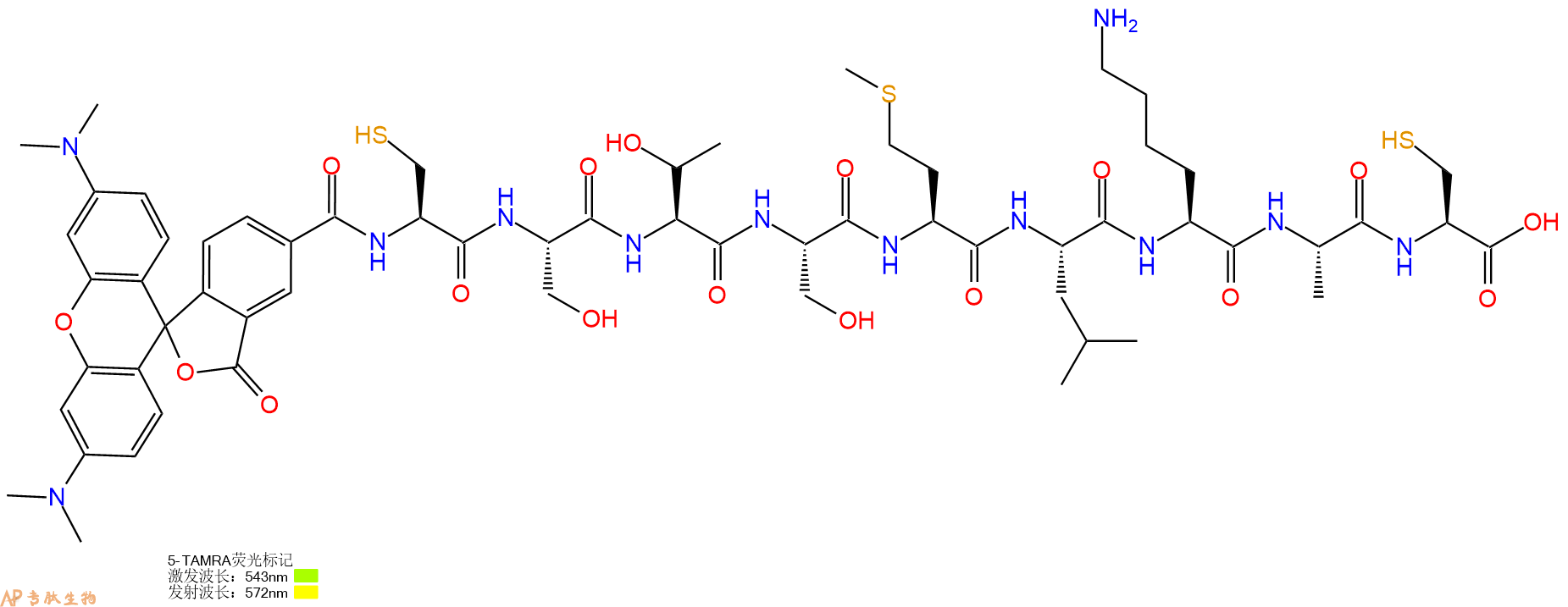 专肽生物产品5TAMRA-Cys-Ser-Thr-Ser-Met-Leu-Lys-Ala-Cys-OH
