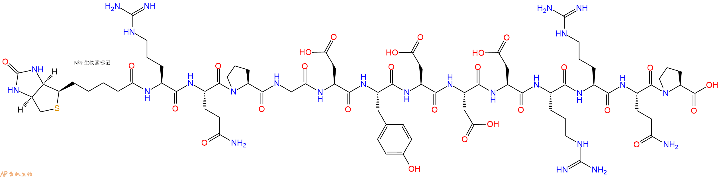 专肽生物产品Biotinyl-Arg-Gln-Pro-Gly-Asp-Tyr-Asp-Asp-Asp-Arg-Arg-Gln-Pro-OH