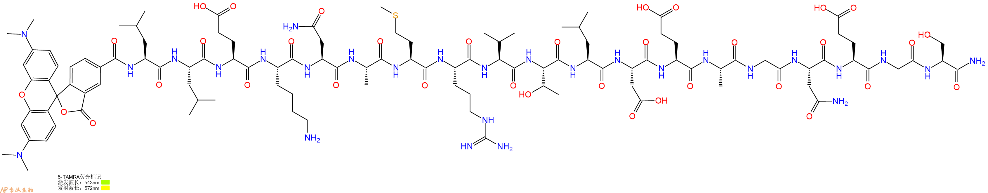 专肽生物产品5TAMRA-Leu-Leu-Glu-Lys-Asn-Ala-Met-Arg-Val-Thr-Leu-Asp-Glu-Ala-Gly-Asn-Glu-Gly-Ser-CONH2