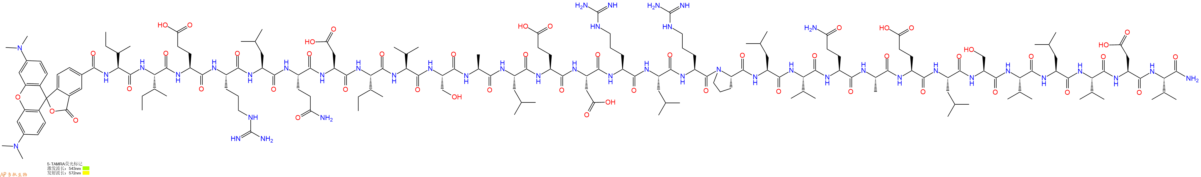 专肽生物产品5TAMRA-Ile-Ile-Glu-Arg-Leu-Gln-Asp-Ile-Val-Ser-Ala-Leu-Glu-Asp-Arg-Leu-Arg-Pro-Leu-Val-Gln-Ala-Glu-Leu-Ser-Val-Leu-Val-Asp-Val-CONH2