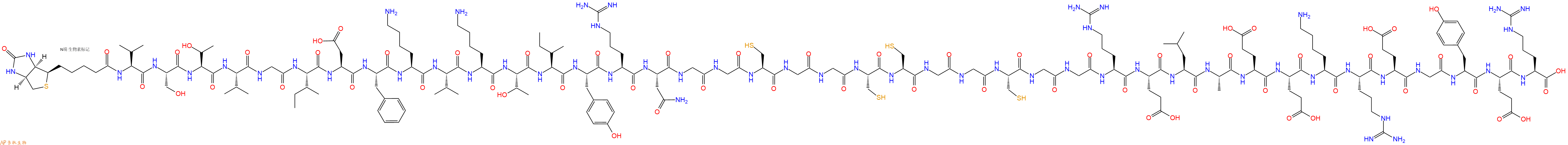 专肽生物产品Biotinyl-Val-Ser-Thr-Val-Gly-Ile-Asp-Phe-Lys-Val-Lys-Thr-Ile-Tyr-Arg-Asn-Gly-Gly-Cys-Gly-Gly-Cys-Cys-Gly-Gly-Cys-Gly-Gly-Arg-Glu-Leu-Ala-Glu-Glu-Lys-Arg-Glu-Gly-Tyr-Glu-Arg-OH