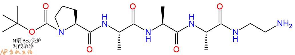 专肽生物产品Boc-Pro-Ala-Ala-Ala-EDA