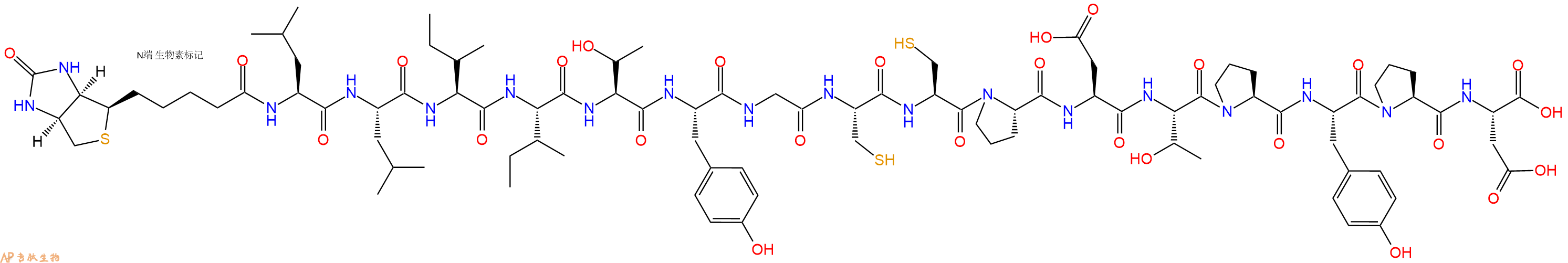 专肽生物产品Biotinyl-Leu-Leu-Ile-Ile-Thr-Tyr-Gly-Cys-Cys-Pro-Asp-Thr-Pro-Tyr-Pro-Asp-OH