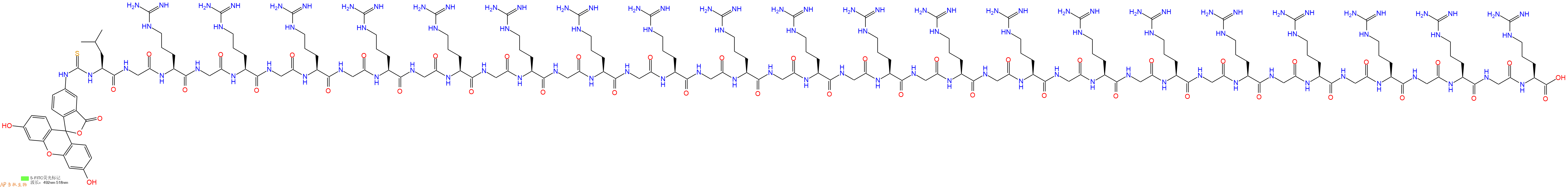 专肽生物产品5FITC-Leu-Gly-Arg-Gly-Arg-Gly-Arg-Gly-Arg-Gly-Arg-Gly-Arg-Gly-Arg-Gly-Arg-Gly-Arg-Gly-Arg-Gly-Arg-Gly-Arg-Gly-Arg-Gly-Arg-Gly-Arg-Gly-Arg-Gly-Arg-Gly-Arg-Gly-Arg-Gly-Arg-OH