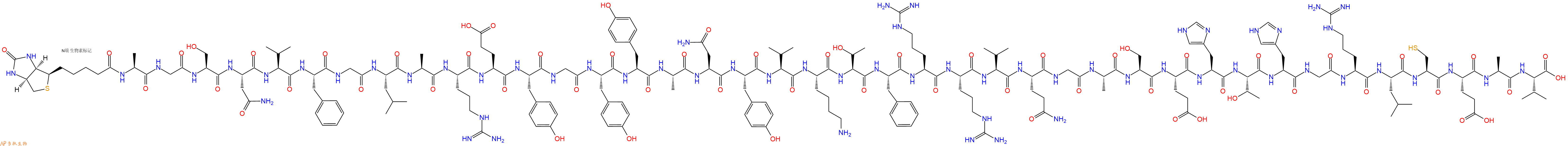 专肽生物产品Biotinyl-Ala-Gly-Ser-Asn-Val-Phe-Gly-Leu-Ala-Arg-Glu-Tyr-Gly-Tyr-Tyr-Ala-Asn-Tyr-Val-Lys-Thr-Phe-Arg-Arg-Val-Gln-Gly-Ala-Ser-Glu-His-Thr-His-Gly-Arg-Leu-Cys-Glu-Ala-Val-OH