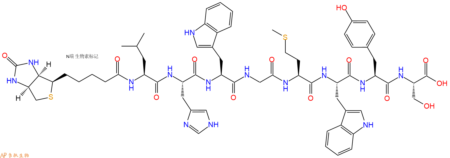 专肽生物产品Biotinyl-Leu-His-Trp-Gly-Met-Trp-Tyr-Ser-OH