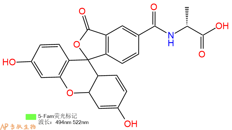 专肽生物产品5FAM-DAla