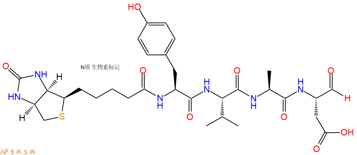 专肽生物产品Biotin-YVAD-CHO