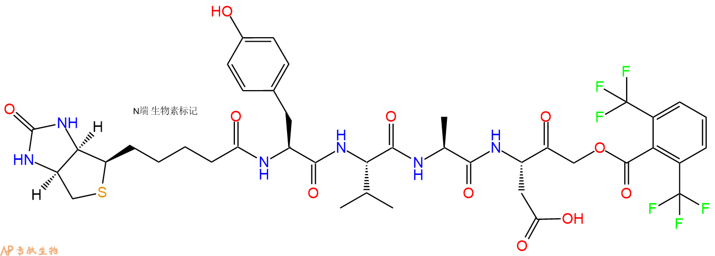 专肽生物产品Biotin ICE Inhibitor III：Biotinyl-Tyr-Val-Ala-Asp-fluoroacyloxymethylketone