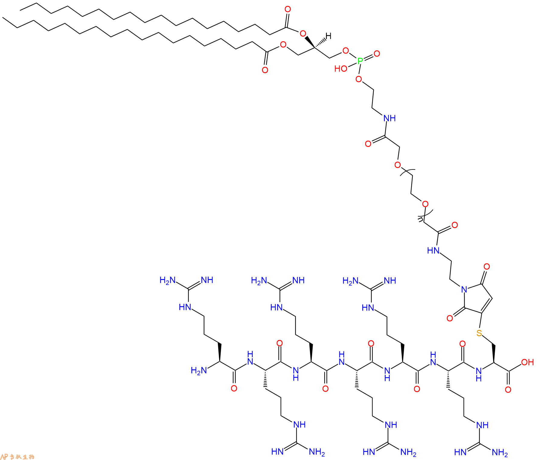 专肽生物产品RRRRRRC(DSPE-PEG2000-Mal)