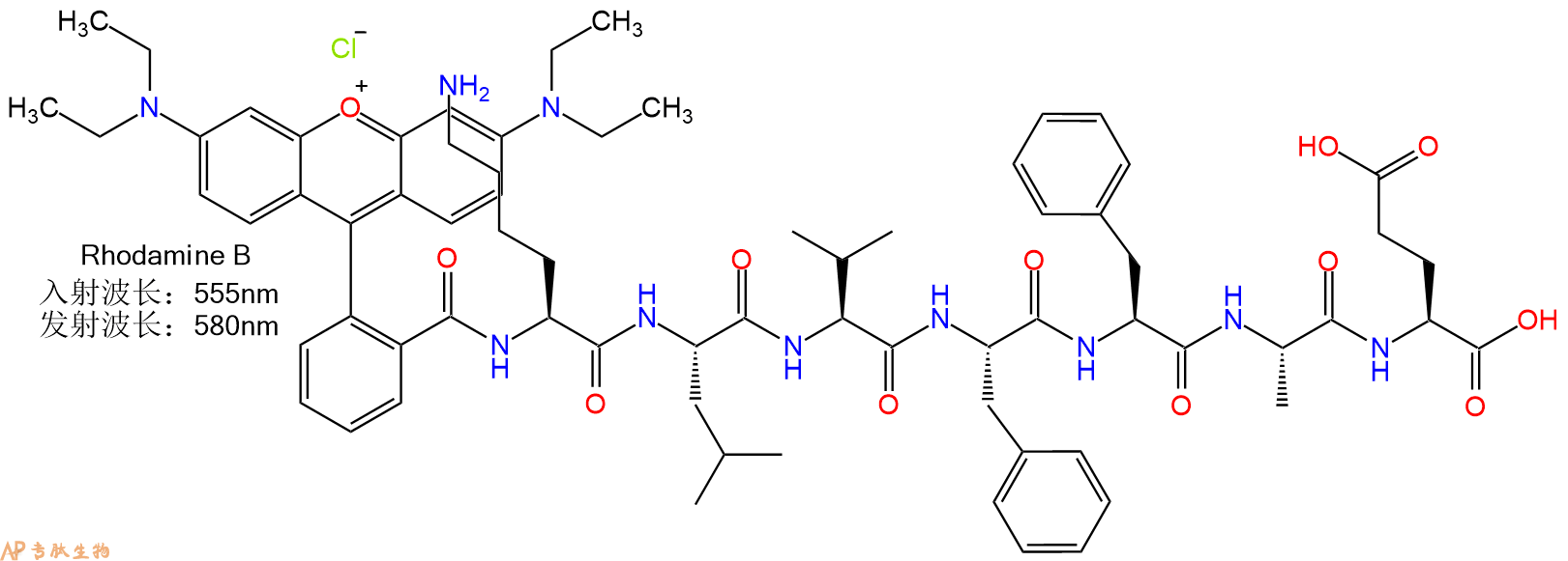 专肽生物产品Rhodamin B-KLVFFAE