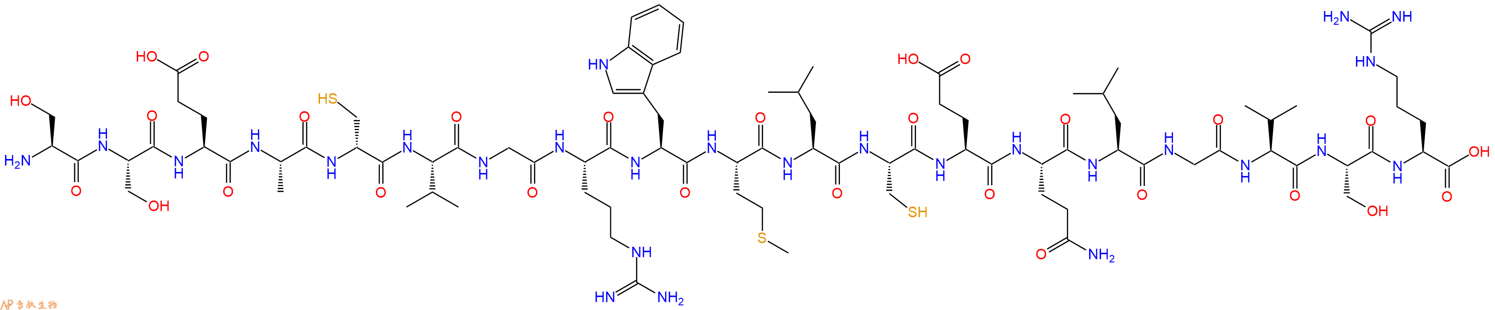 专肽生物产品&szlig;III probe