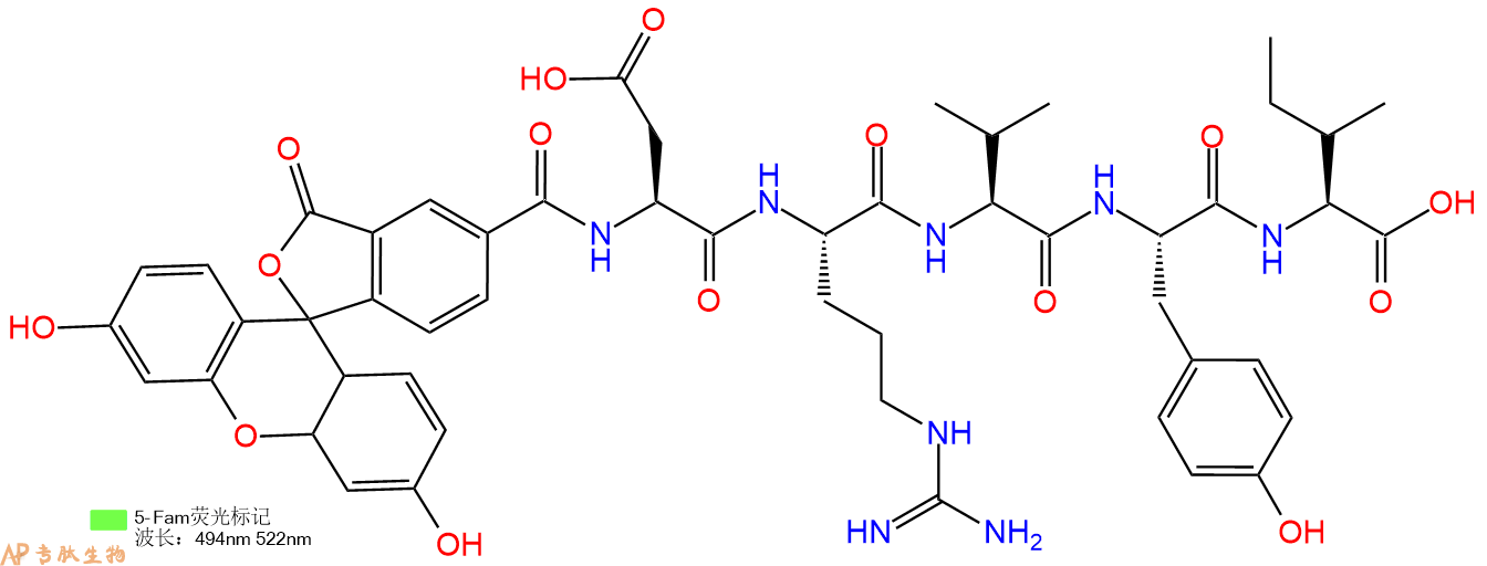 专肽生物产品Angiotensin (1-5), FAM--labeled