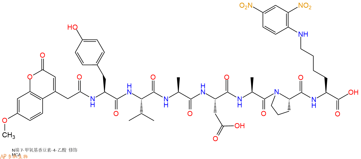 专肽生物产品Angiotensin I Converting Enzyme 2, ACE-2/Caspase-1 Substrate