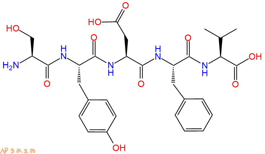 专肽生物产品Fucilin gene-related peptide 2
