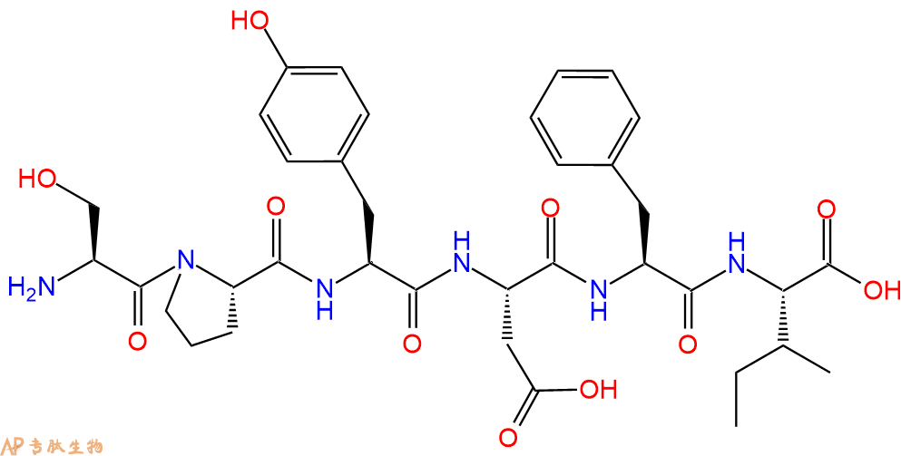 专肽生物产品Fucilin gene-related peptide 6