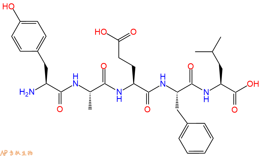 专肽生物产品Fucilin gene-related peptide 9