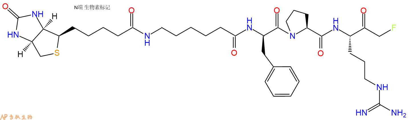 专肽生物产品Biotinyl-&epsilon;-aminocaproyl-D-Phe-Pro-Arg-chloromethylketone