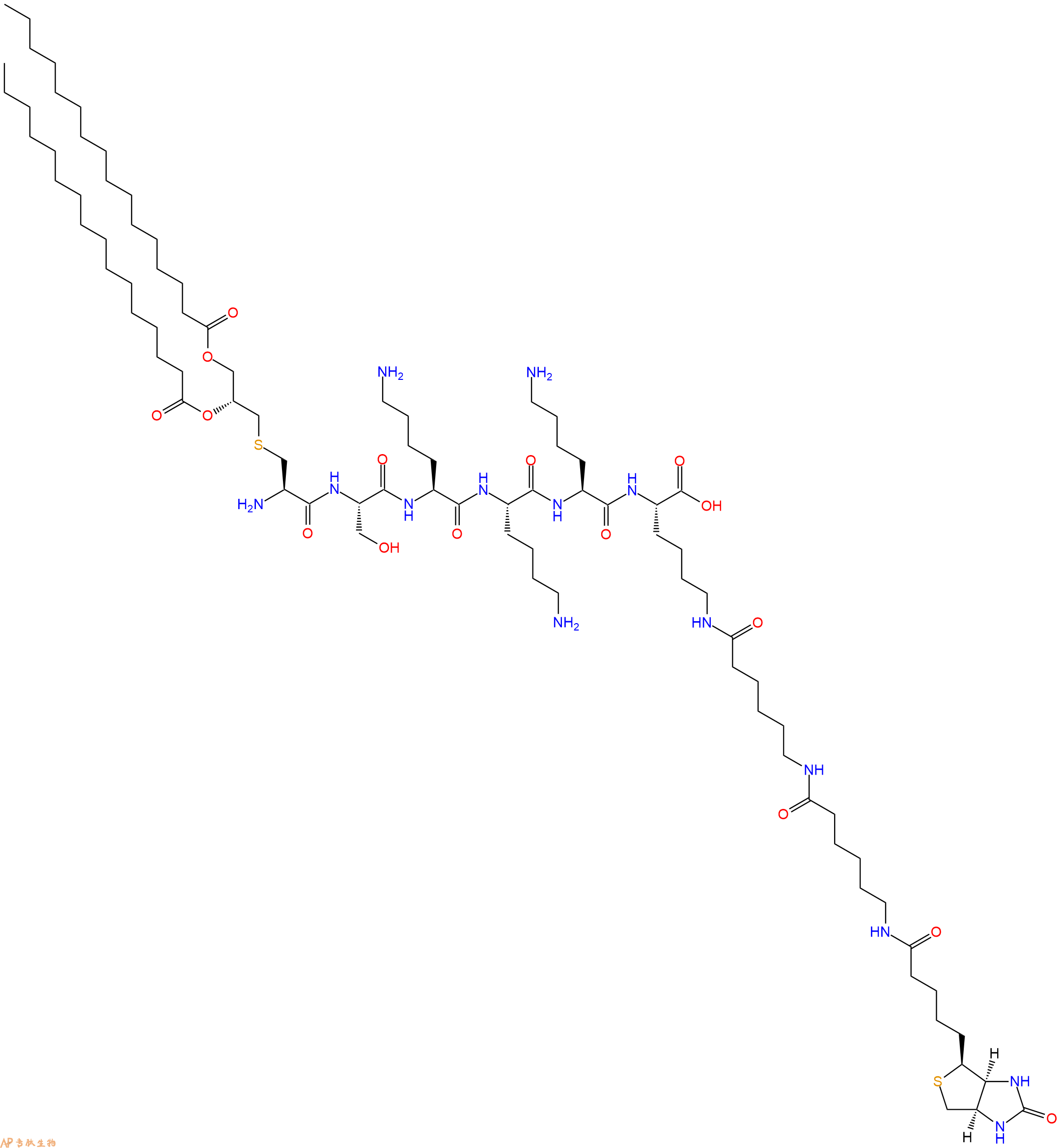 专肽生物产品Pam2CSK4 Biotin